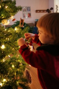 IMG_0592 IMG_0592
